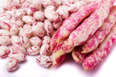 borlotti fasulye