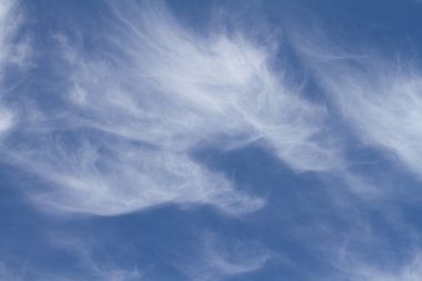 Cirrus clouds clipart