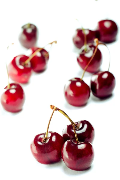 붉은 열매 — 스톡 사진