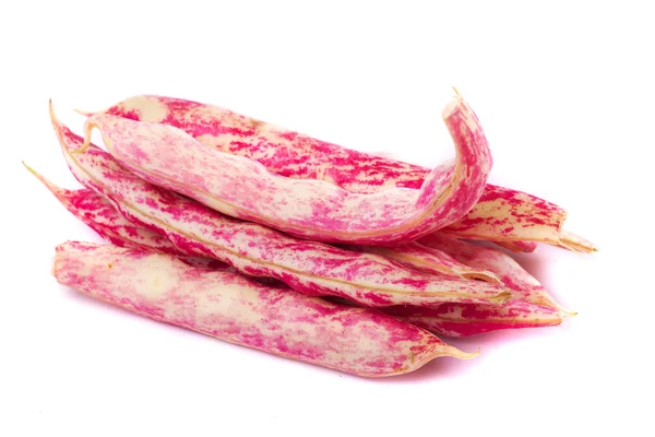 Borlotti beans — Stock Photo, Image