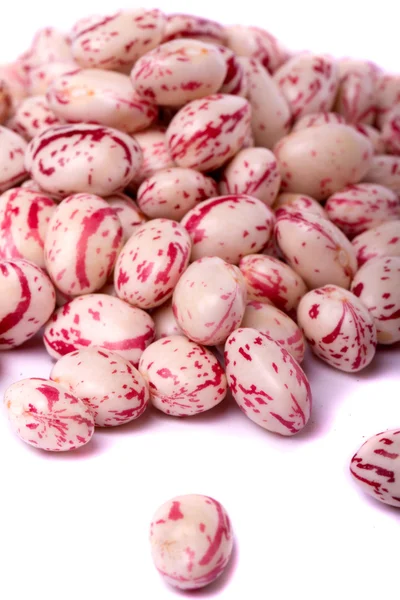 Borlotti beans — Stock Photo, Image