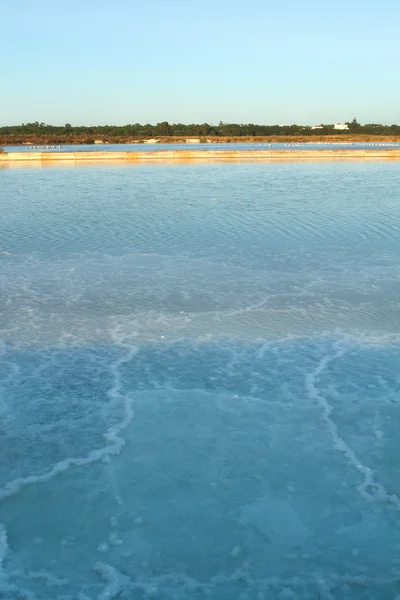 Lagoa de evaporação de sal — Fotografia de Stock