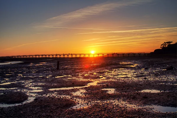 stock image Natural marshlands