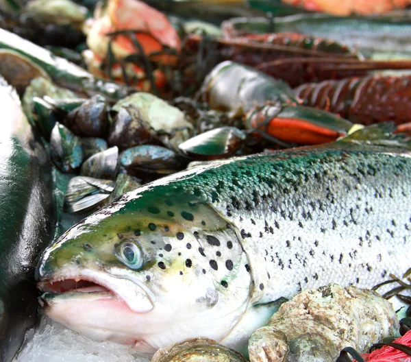 stock image Fresh fish and seafood