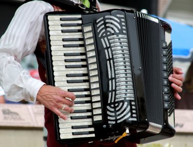 Accordion player clipart