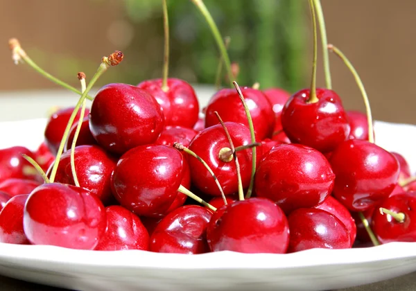 Stock image Cherries