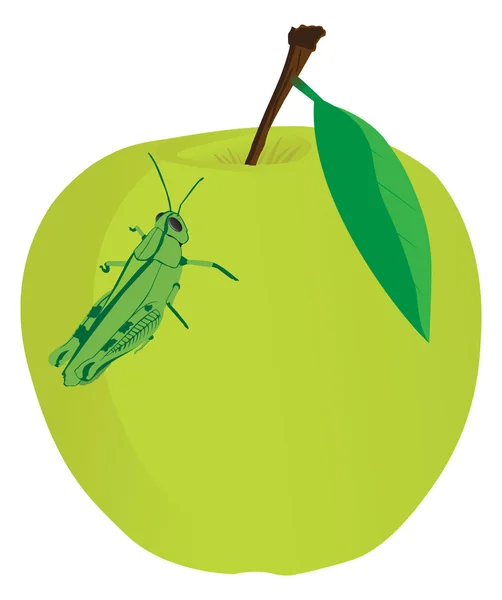 Apple jídlo kobylka — Stockový vektor