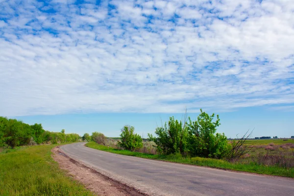 stock image The summer road