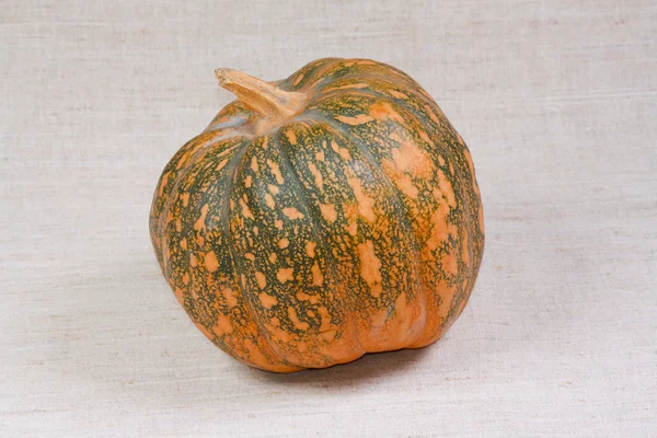 The big pumpkin from kitchen garden — Stock Photo, Image
