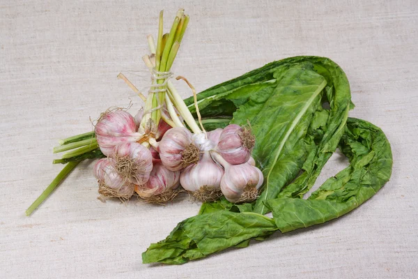 The garlic and greens from kitchen garden — Stock Photo, Image