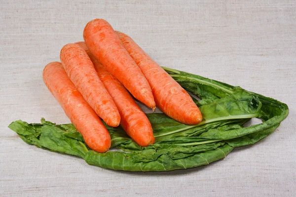 The fresh carrots and greens — Stock Photo, Image