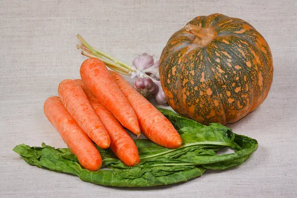 The fresh carrots, pumpkin, garlic and greens — Stock Photo, Image