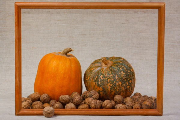 The pumpkin and nuts from kitchen garden in frame — Stock Photo, Image