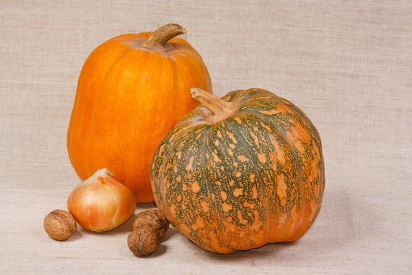 The pumpkins, onion and nuts from kitchen garden — Stock Photo, Image