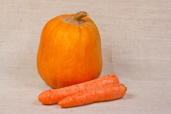 The orange pumpkin and carrots from kitchen garden — Stock Photo, Image