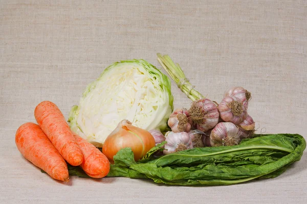 Las verduras frescas de la huerta — Foto de Stock