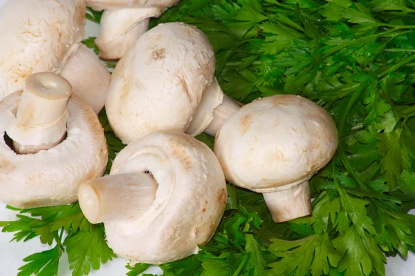 The white champignons with fresh greens — Stock Photo, Image