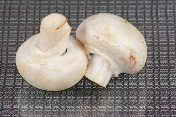Los champiñones blancos crudos de fondo gris — Foto de Stock