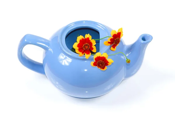 Der blaue Wasserkocher mit orangen Blüten — Stockfoto