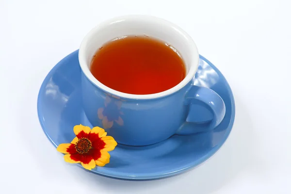 The cup of tea with flowers — Stock Photo, Image