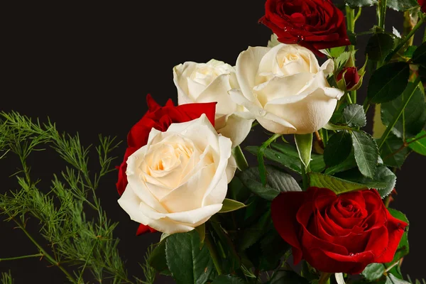 The red and creamy roses from dark background — Stock Photo, Image