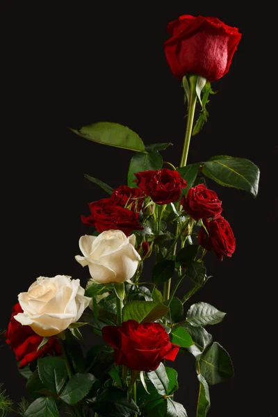 The bouquet red and creamy roses — Stock Photo, Image