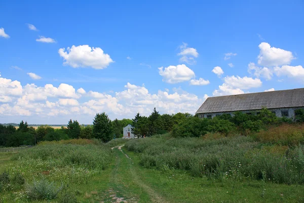 Summer landscape with meadow and blue sky — Stock Photo, Image