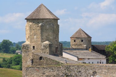 Karpatlar, Ukrayna, Ortaçağ Kalesi