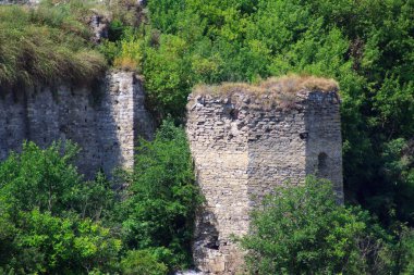 Karpatlar, Ukrayna, Ortaçağ Kalesi