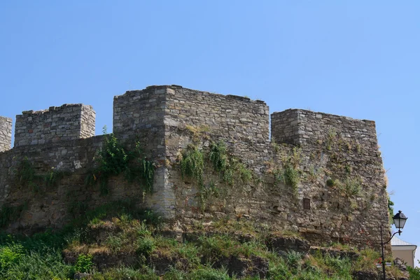 Średniowieczna twierdza w Karpatach, Ukraina — Zdjęcie stockowe