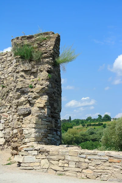 岩的中世纪堡垒在喀尔巴阡、 乌克兰 — 图库照片