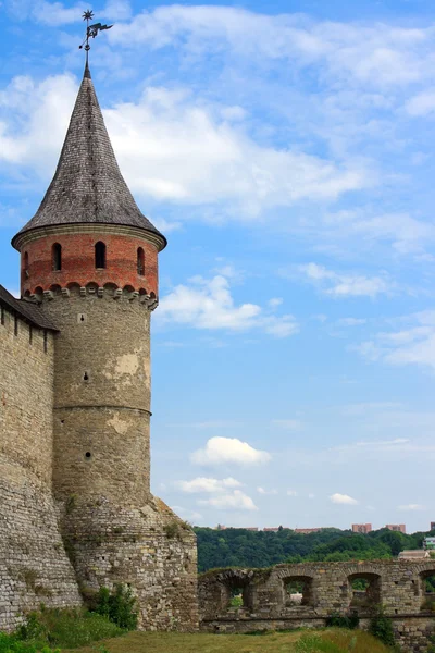 Середньовічна фортеця в Карпатах, Україна Стокова Картинка