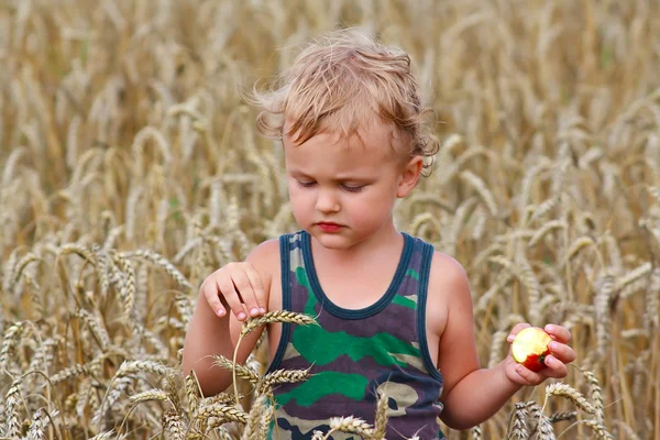Junge mit Apfel auf einem Weizenfeld Stockbild