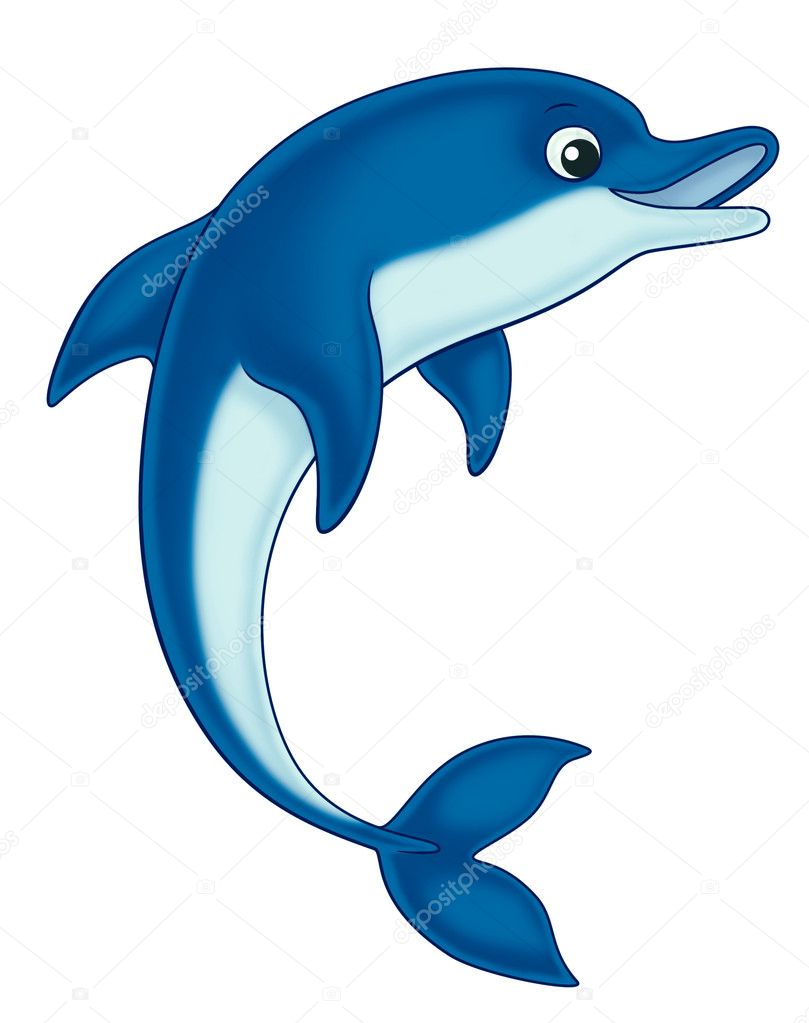 Dolphin — Stock Photo © mikailain #6503644