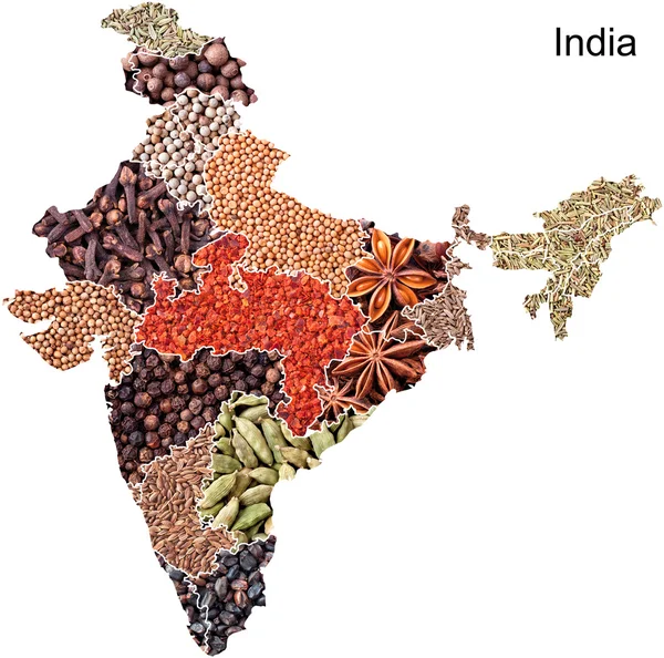 Carte politique de l'Inde avec des épices — Photo