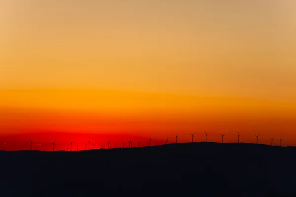 风电场在日落 — 图库照片