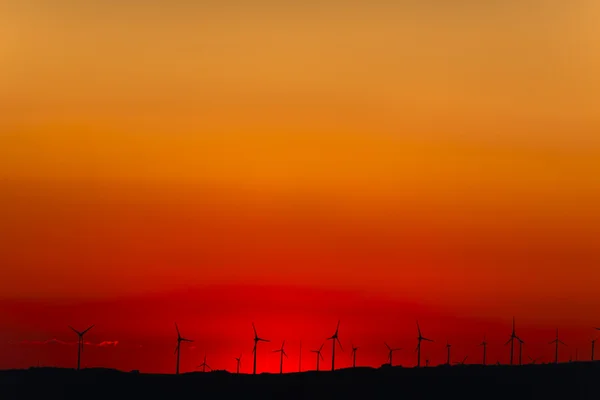 Vindkraftspark i solnedgången — Stockfoto