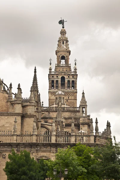 Kathedraal. Sevilla. Spanje. — Stockfoto