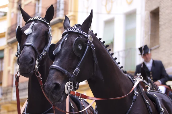 Carruagem puxada a cavalo em Sevilha — Fotografia de Stock