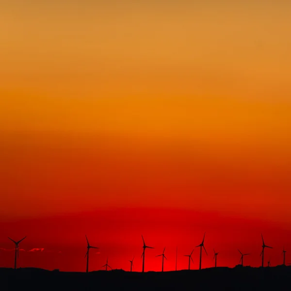 Větrné farmy v západu slunce — Stock fotografie