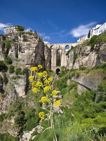Panoramautsikt över ronda, Andalusien, Spanien — Stockfoto