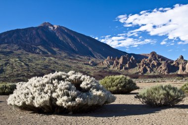 Teide - volcano landscape clipart
