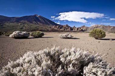 Teide - volkan peyzaj