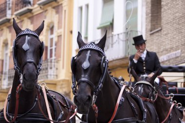 Horse drawn carriage in Seville clipart