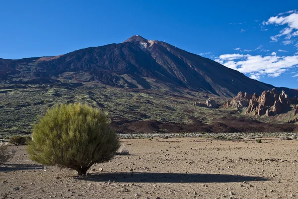 Teide - vulkanische landschap — Stockfoto
