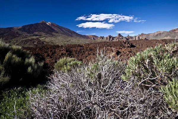 Teide - paisagem vulcânica — Fotografia de Stock