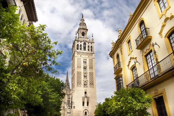 Cattedrale di Siviglia, Spagna — Foto Stock