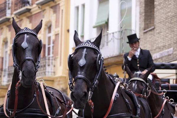 Carrozza trainata da cavalli a Siviglia — Foto Stock