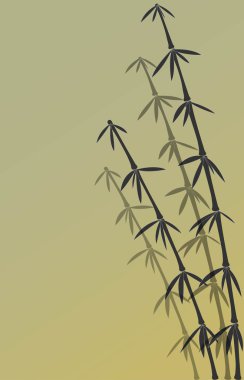 Çin bambu