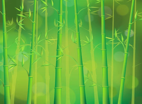 Зеленый бамбуковый лес — стоковый вектор